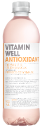 Vitamin Well Antioxidant Pet 12x50cl