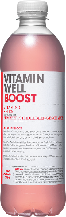 Vitamin Well Boost Pet 12x50cl